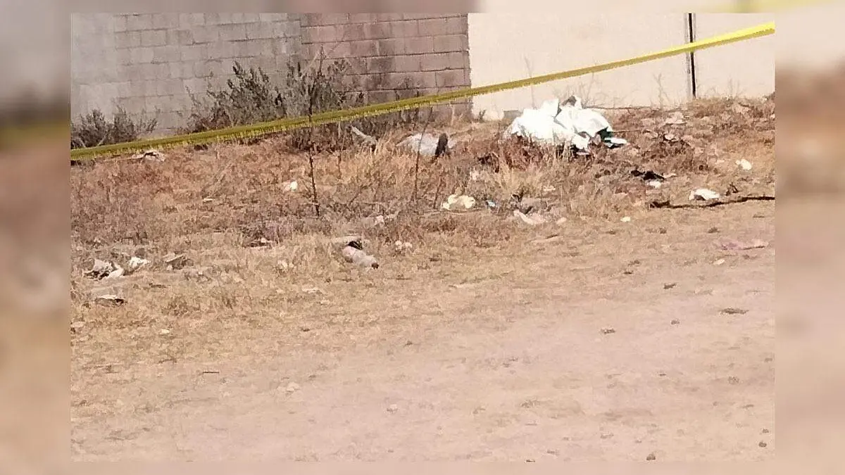 969142c8-a7ad-4317-ba48-f0d50e59891a