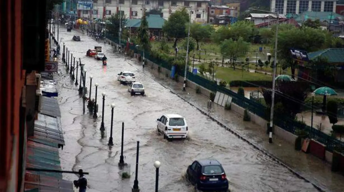 India-torpentas-eléctricas
