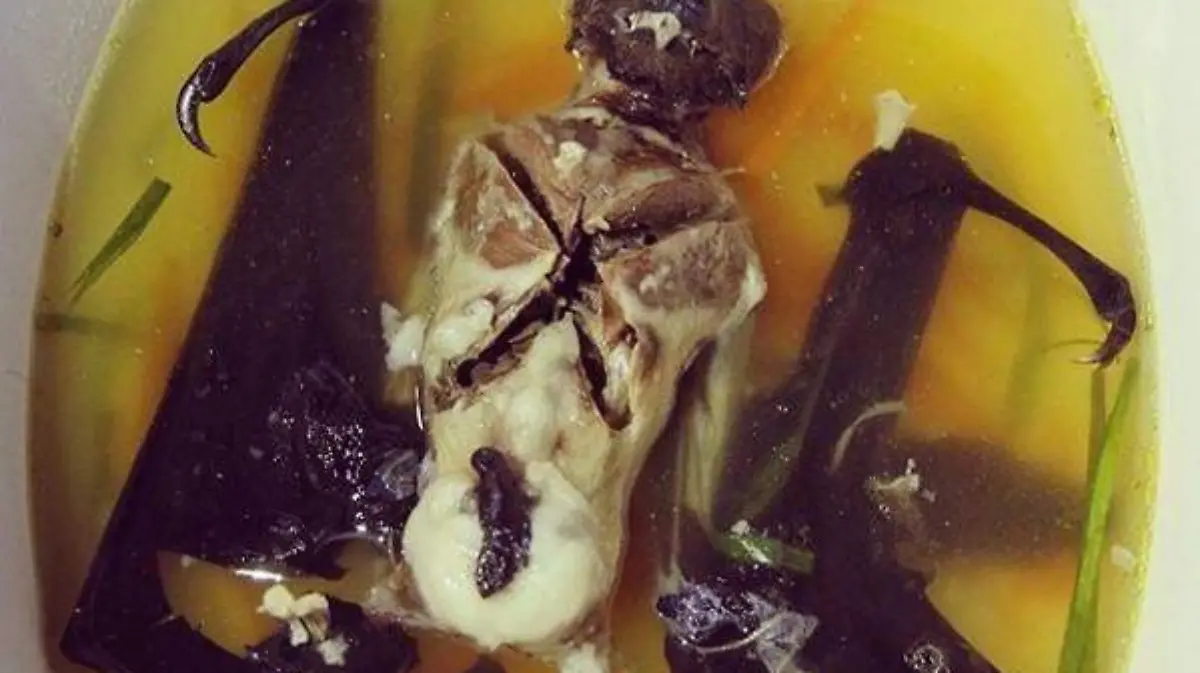 Sopa de murcielago4