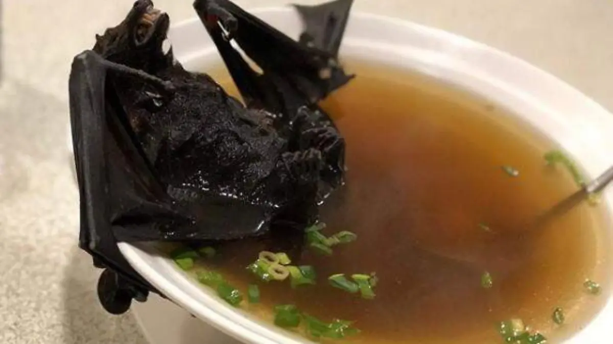 Sopa de murcielago2