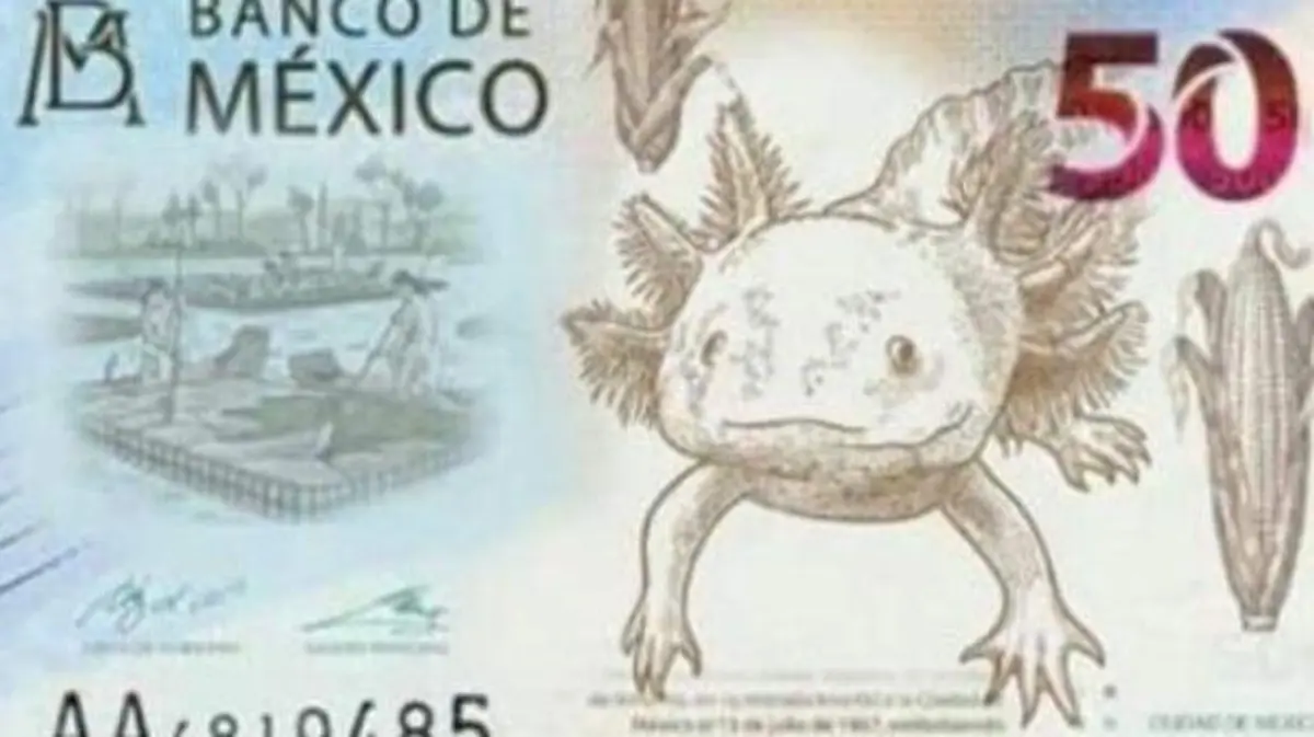 billete-50