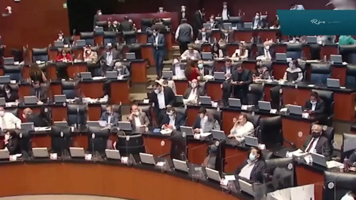 senado