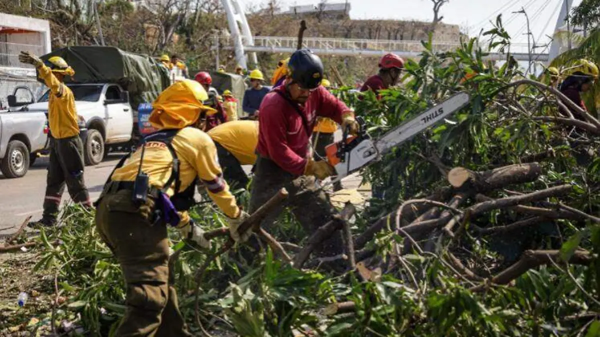 WhatsApp Image 2023-11-02 at 12.59.44