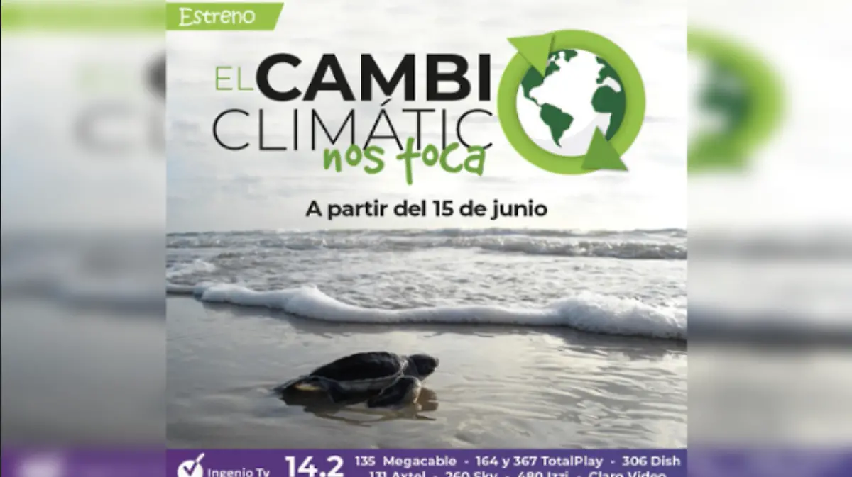 Captura de Pantalla 2020-06-12 a la(s) 18.16.07