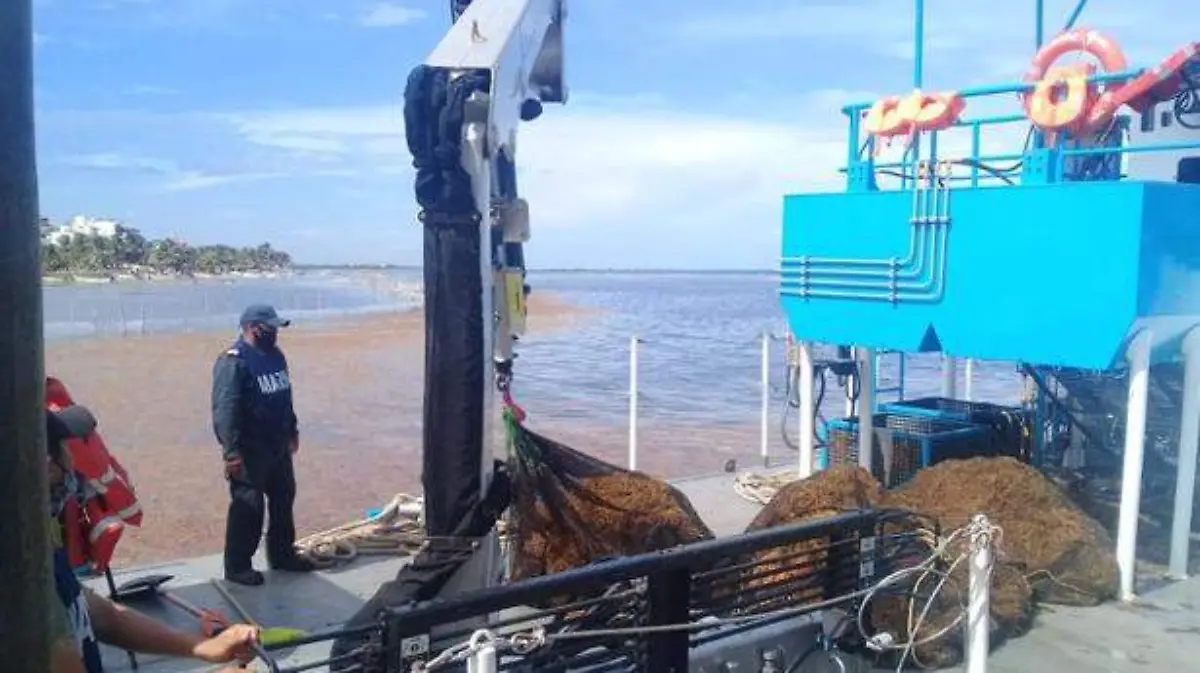 sargazo-quintana-roo-(2)