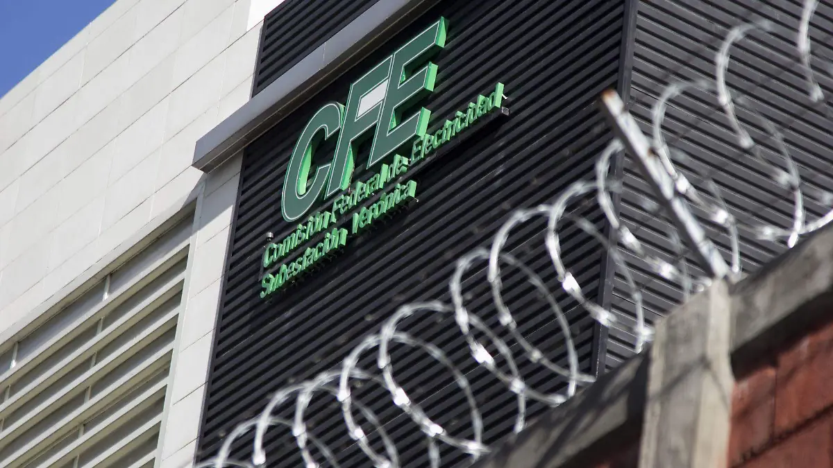 reforma electrica CUARTOSCURO