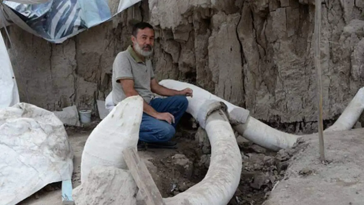 Restos óseos de mamut hallados en Tultepec