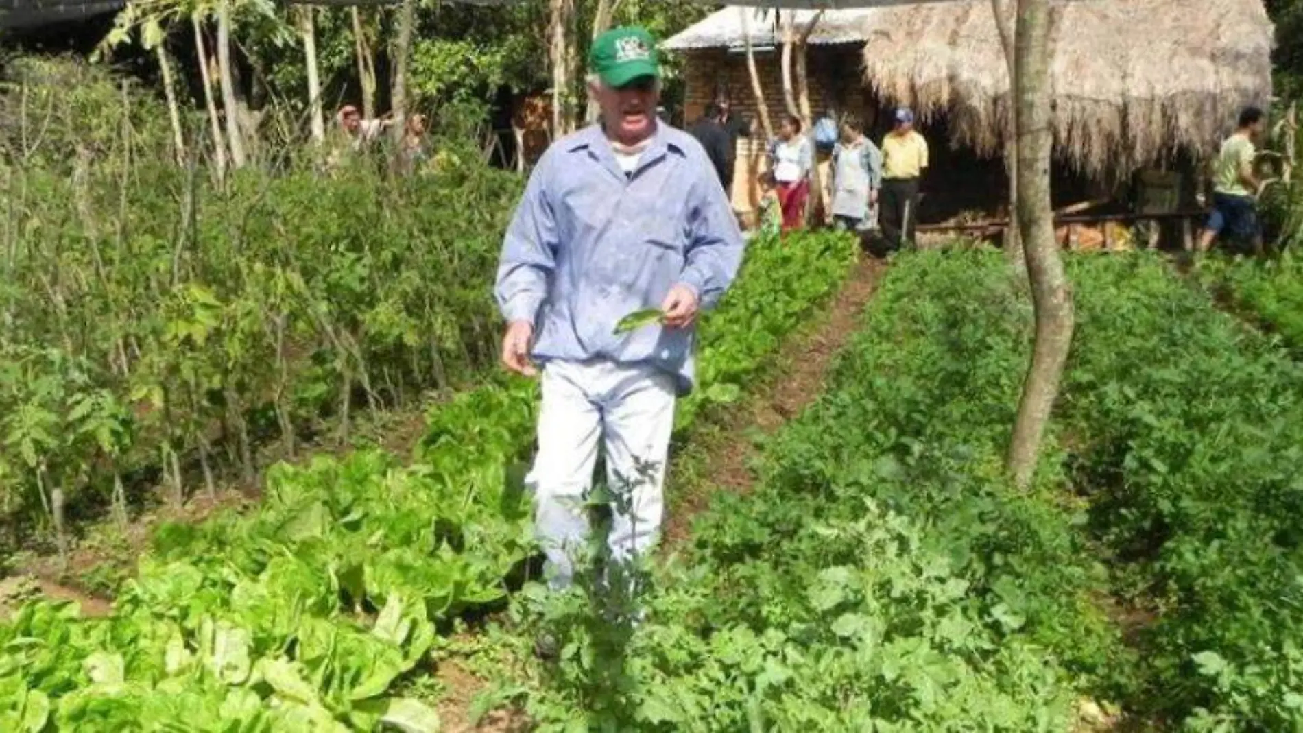 Censo-Agropecuario