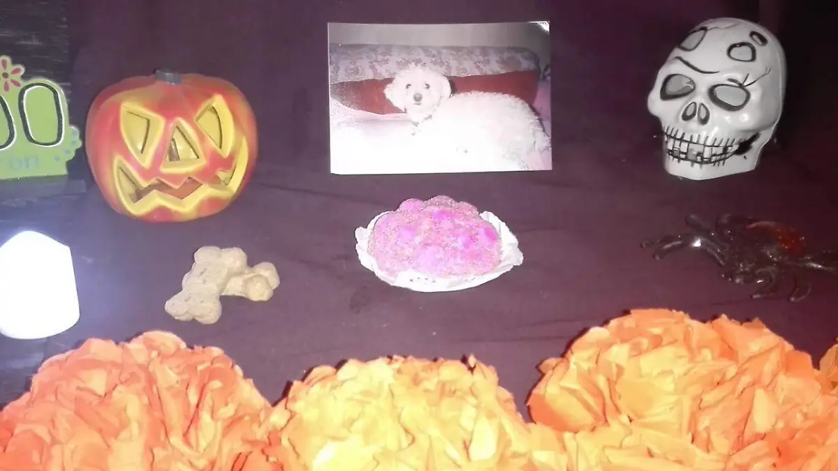 ofrenda canina (3)