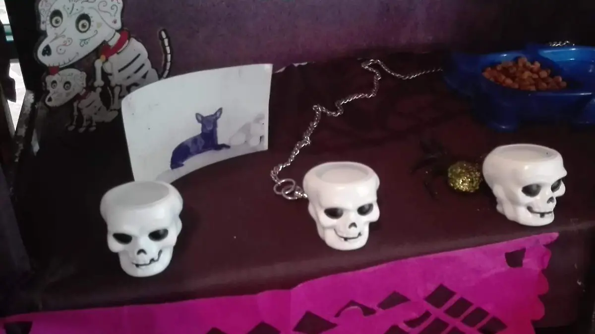 ofrenda canina (2)