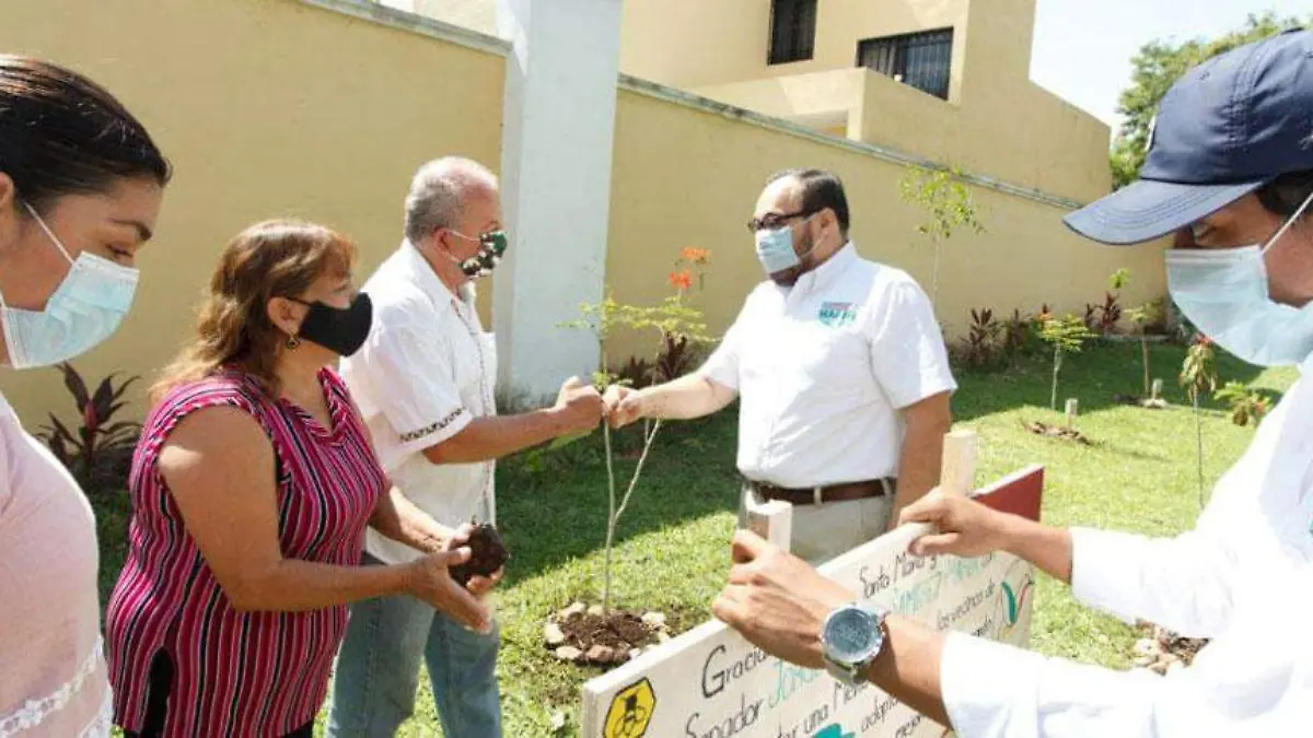 jardín-Urbano-en-Mérica