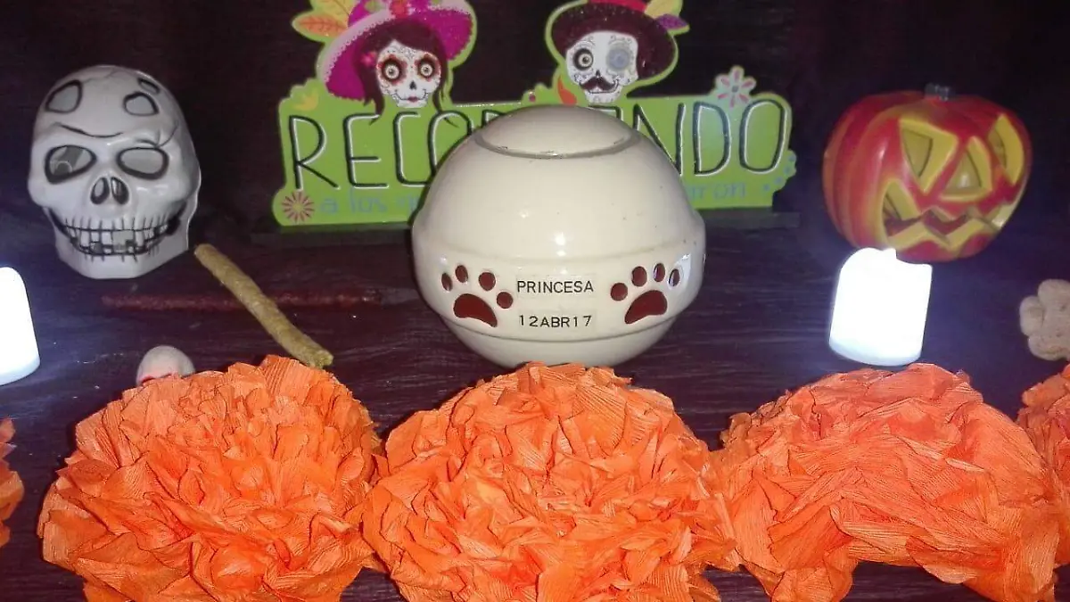ofrenda canina