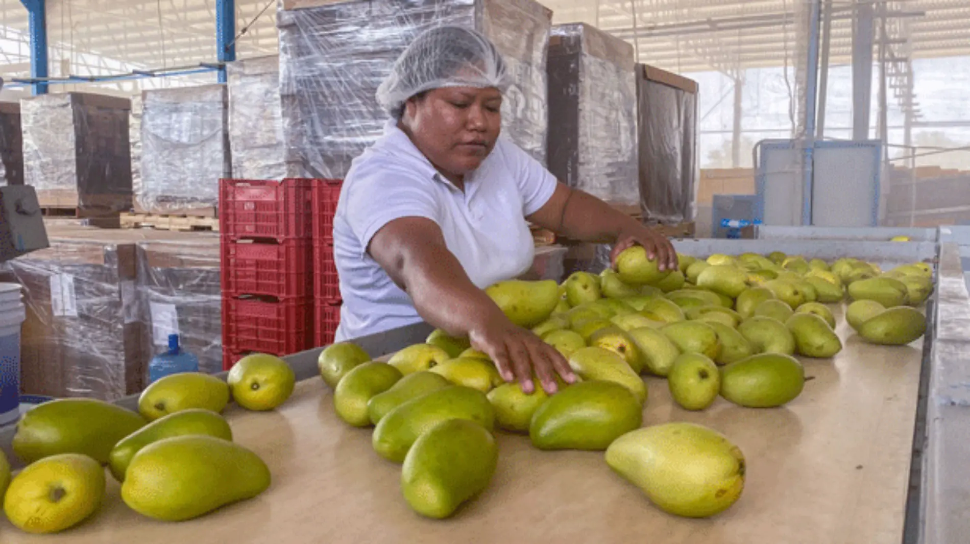 empleo-para-la-agricultura