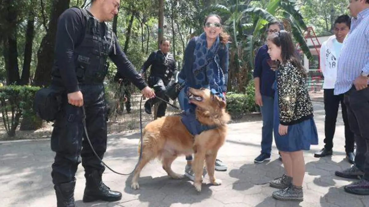 Participa-Cámara-de-Diputados-en-el-cuidado-y-entrenamiento-de-perros
