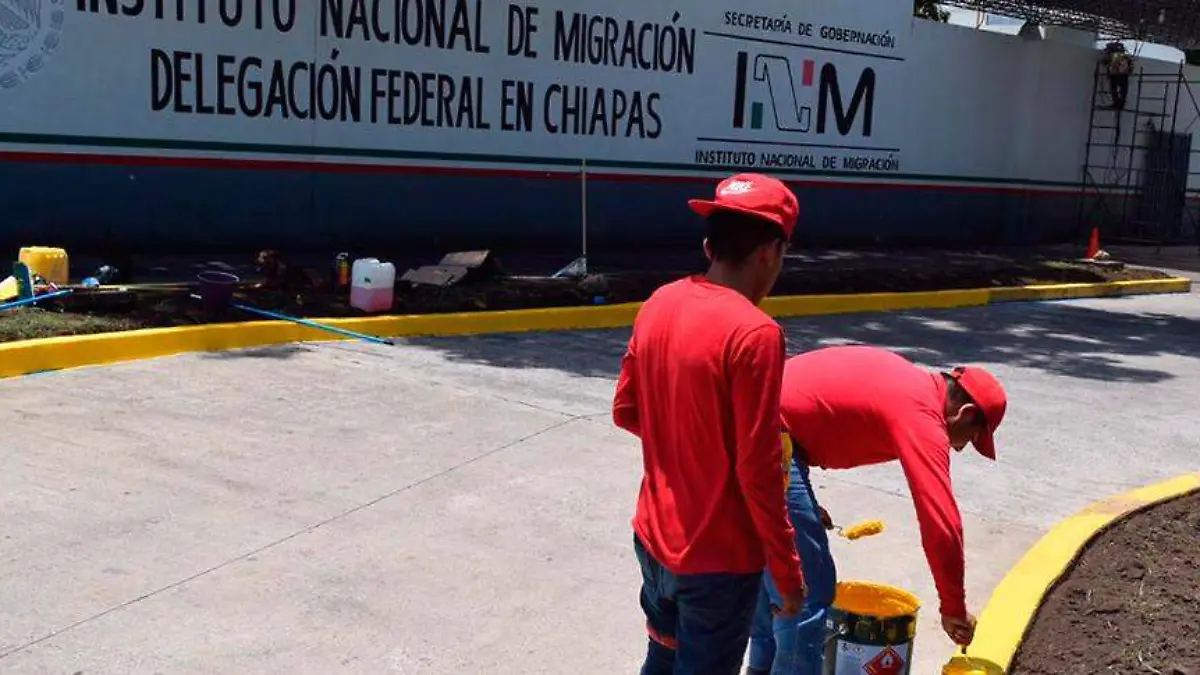 migracion
