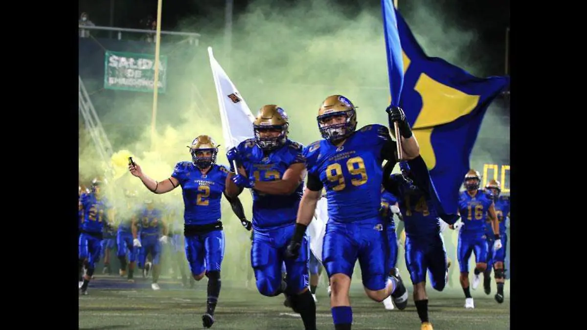 12c7822b-c957-4db5-aa07-ffa36884087f