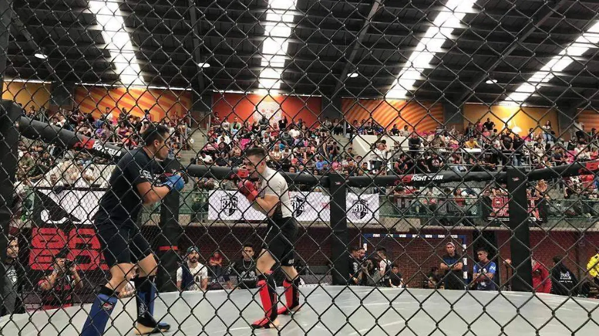 torneo de artes marciales