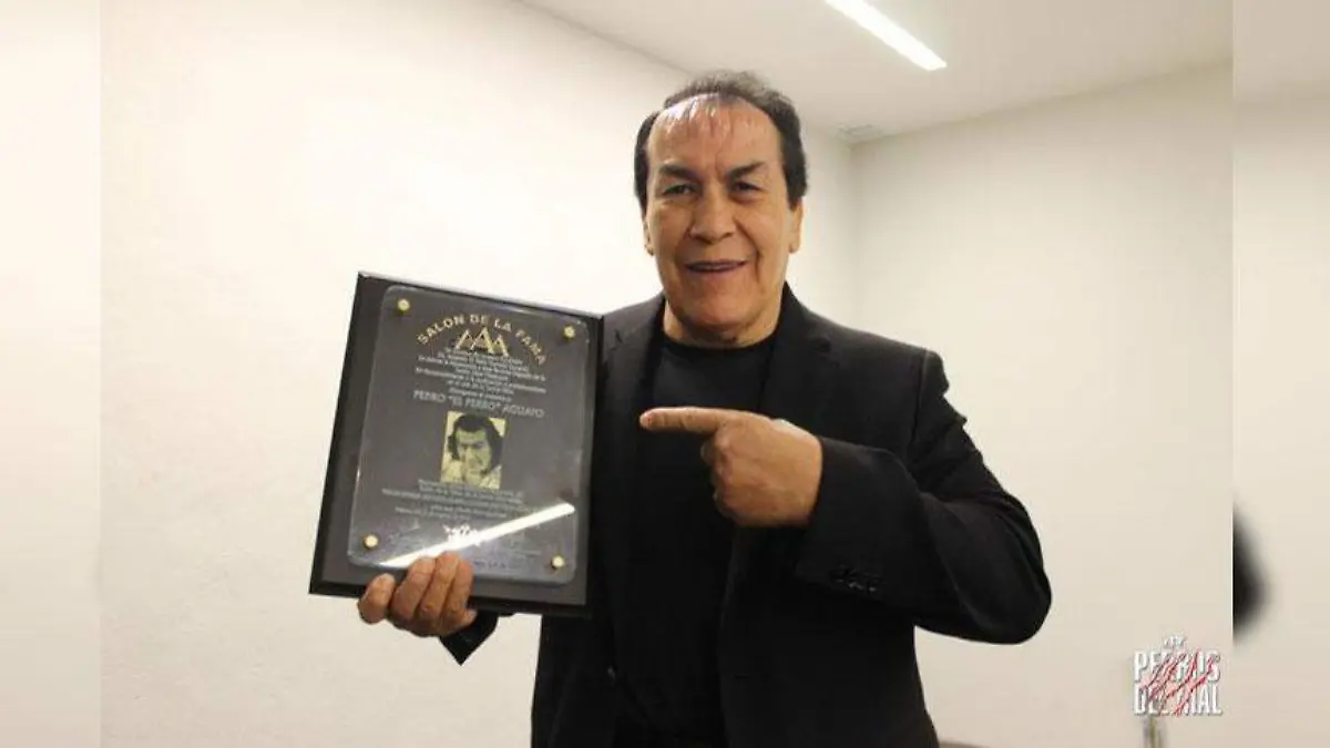 El-Perro-Aguayo