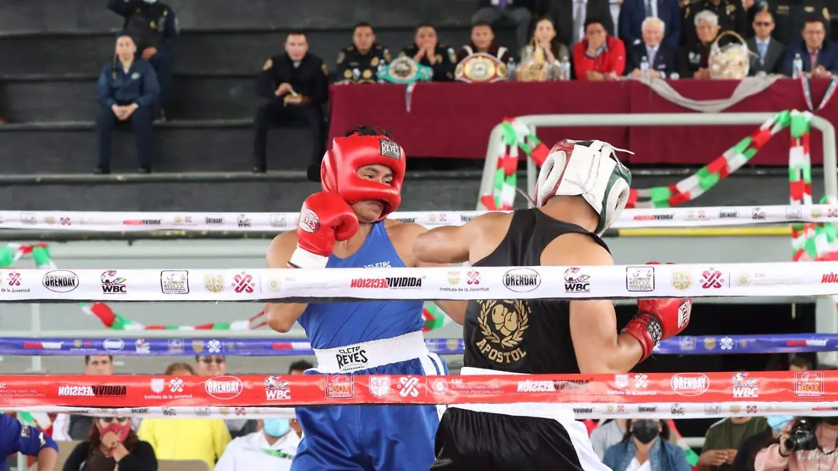 WhatsApp Image 2022-09-14 at 7.48.49 PM