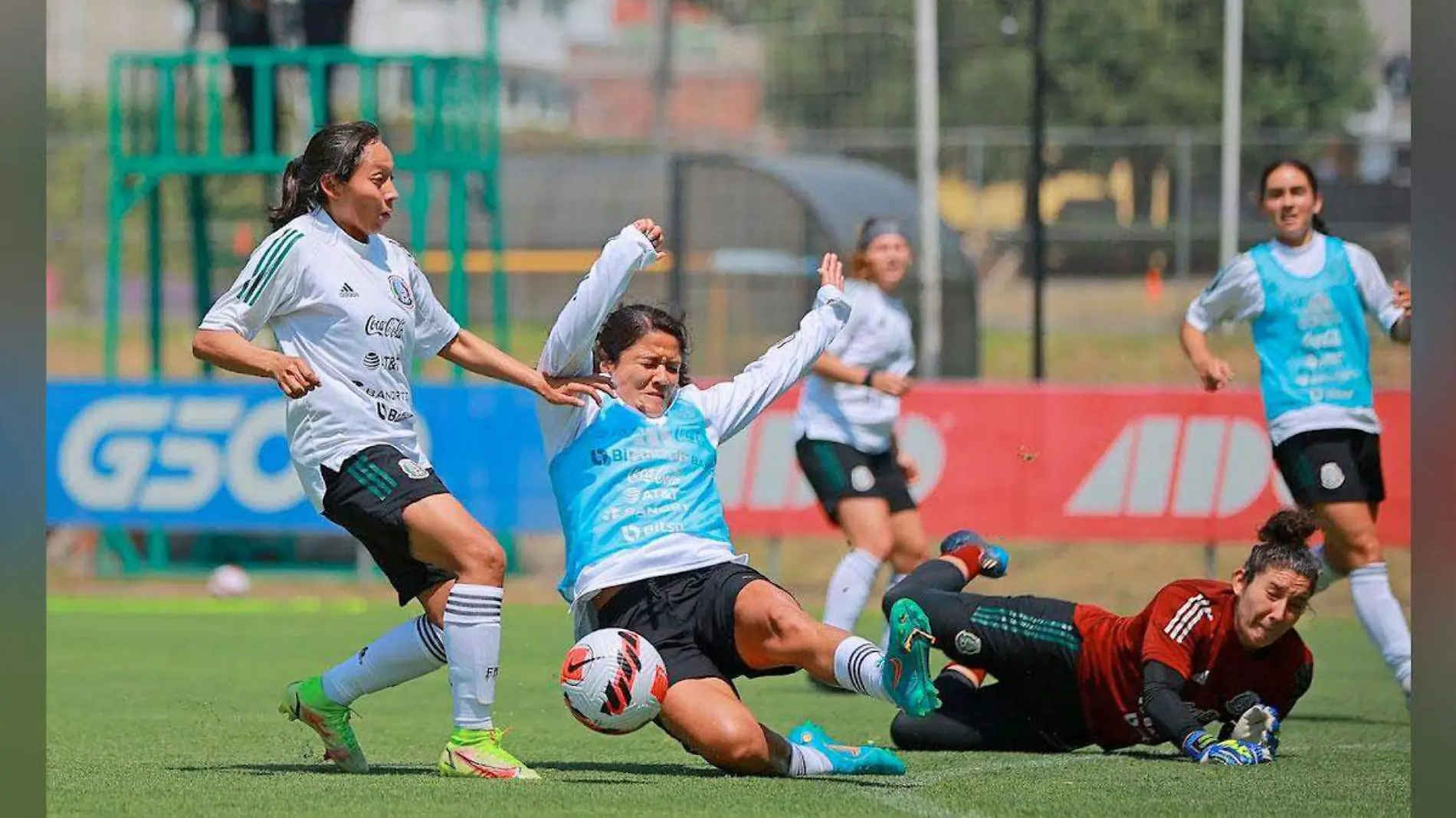 seleccionfemenil