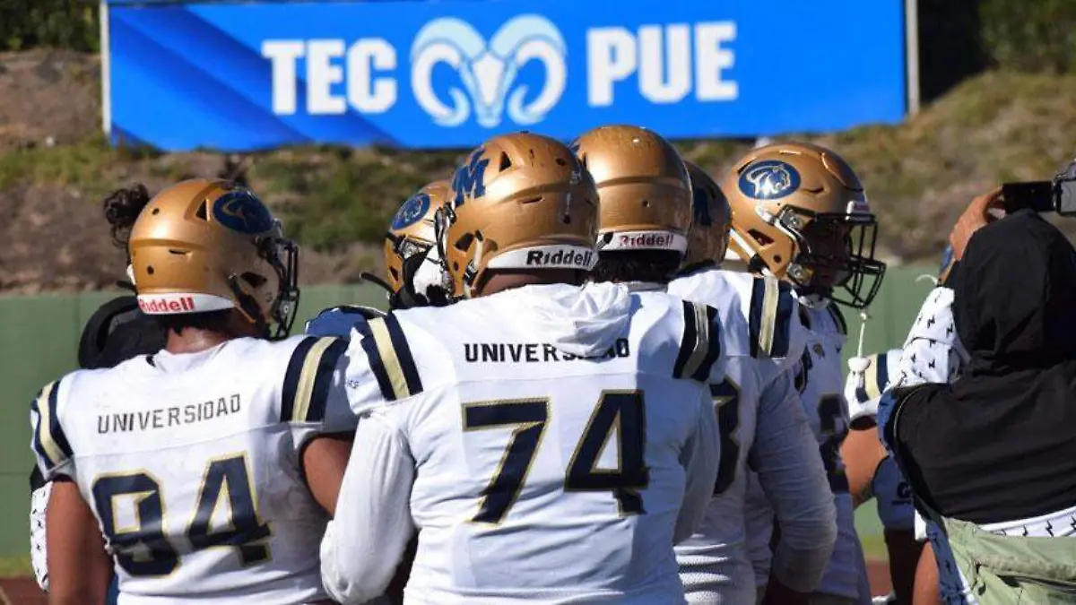Pumas-acatlán