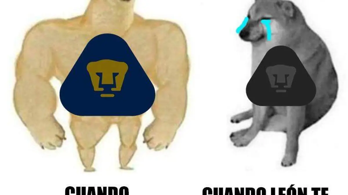 Meme Pumas vs León 2