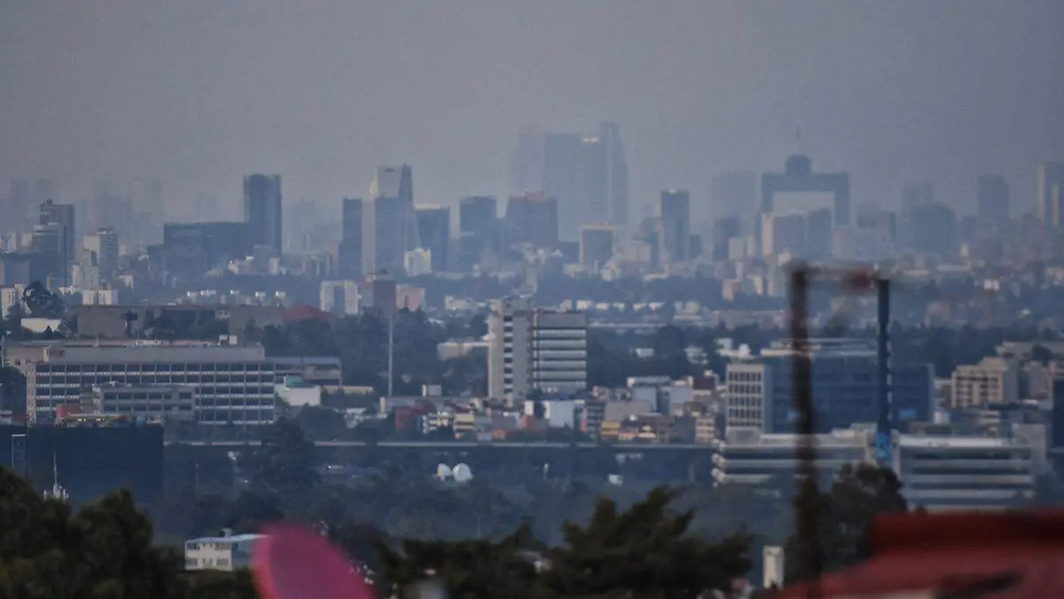 WhatsApp Image 2022-11-13 at 8.34.41 PM (2)