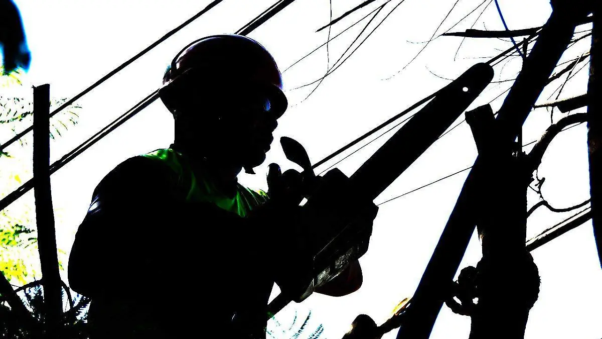 WhatsApp Image 2023-05-08 at 4.33.55 PM