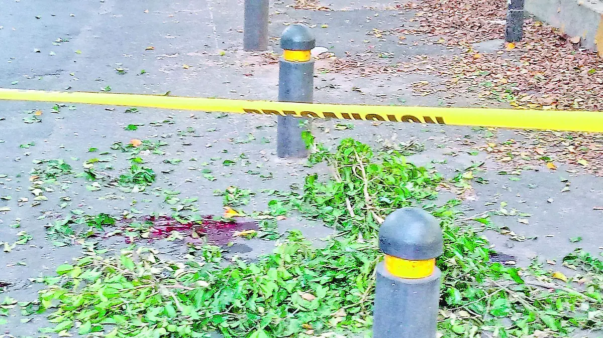 Muere joven tras caer desde el piso 20 de un edificio en Polanco dentro 2