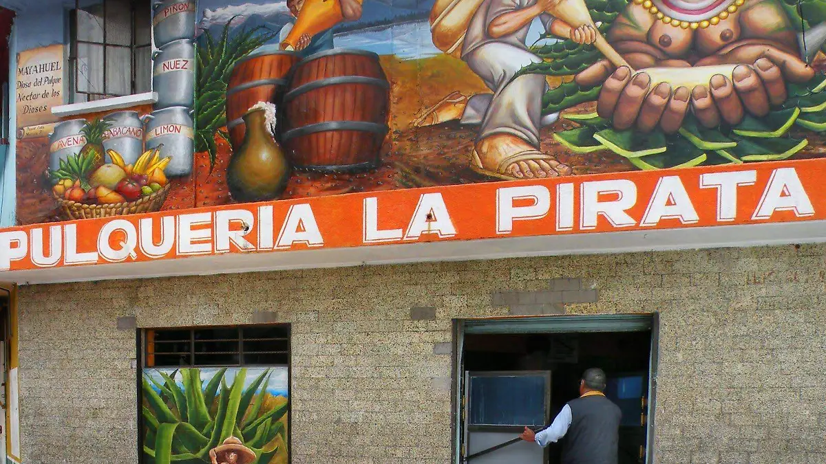 Pulque; una bebida ancestral elabora a partir del maguey