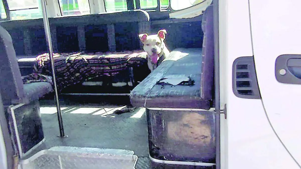 Unidades sucias en el Edomex