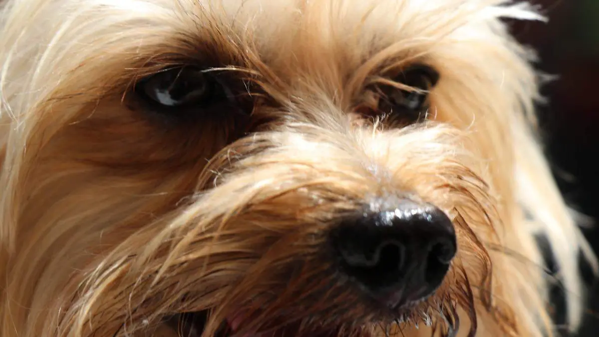 WhatsApp Image 2022-10-02 at 1.09.58 PM (1)