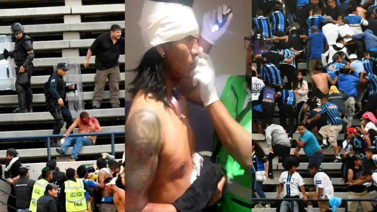 WhatsApp Image 2019-10-20 at 19.21.13 (1)