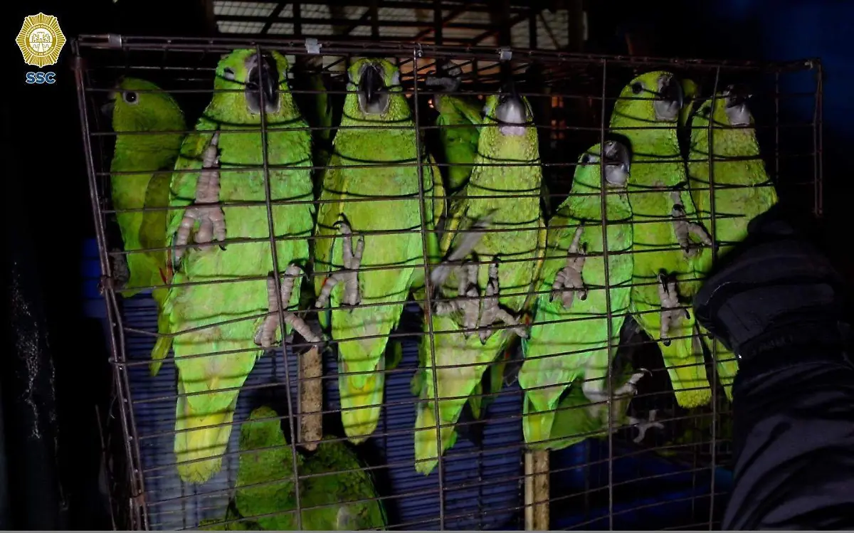 WhatsApp Image 2023-05-15 at 11.07.12 AM