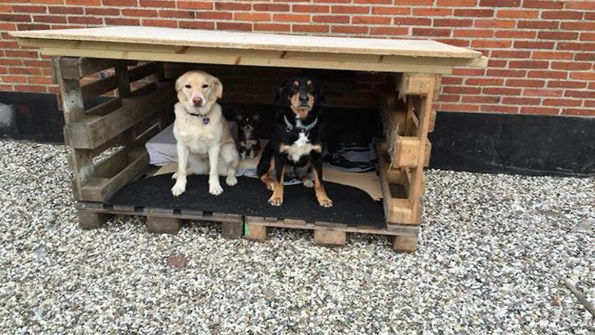 ed5e5dfb8693cb7ff6b6c1671901e774