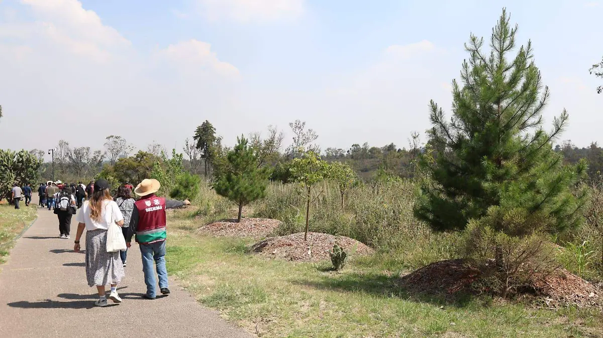 Reconocen expertos transformación del Bosque de Chapultepec-INT4