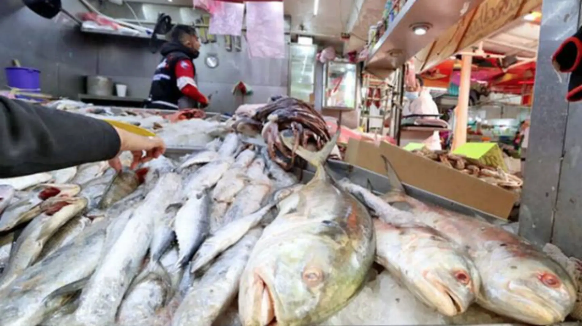 Familias padecerán un “viacrucis” en Cuaresma, por altos precios en productos del mar-INT2