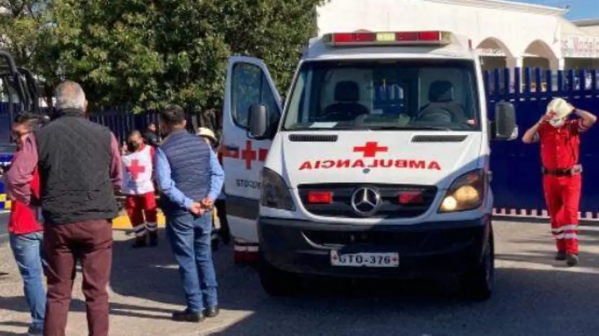 muertos-delincuentes