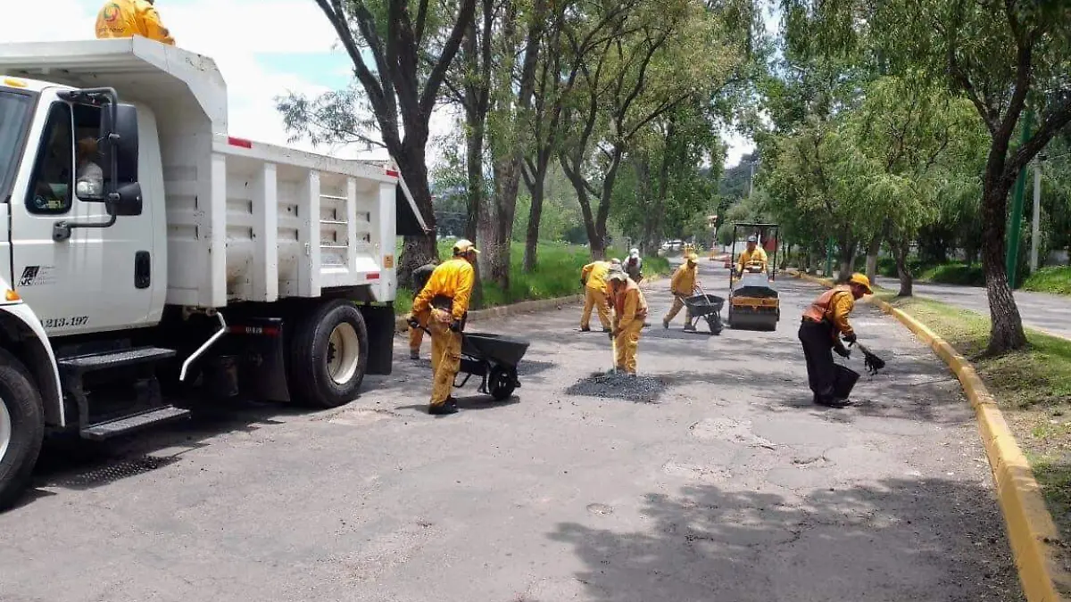 WhatsApp Image 2023-08-03 at 13.31.47