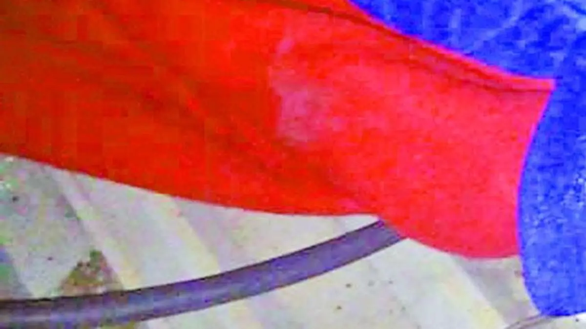 010 (1)
