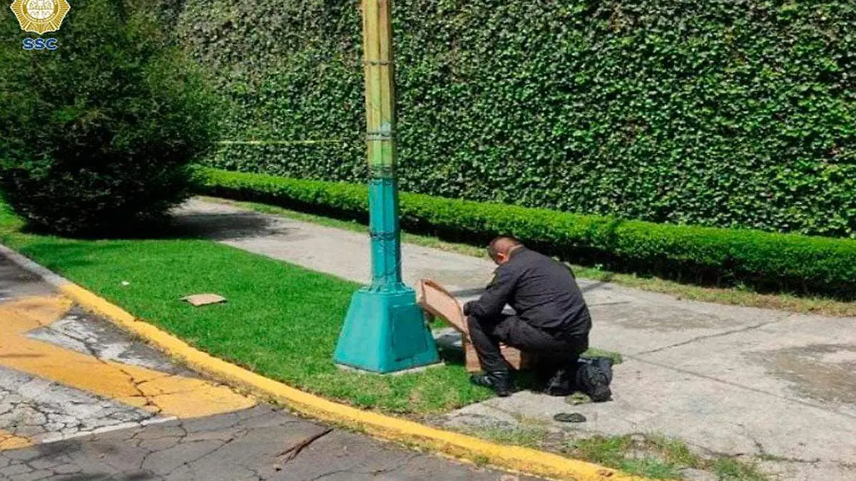 WhatsApp Image 2023-09-04 at 2.18.42 PM