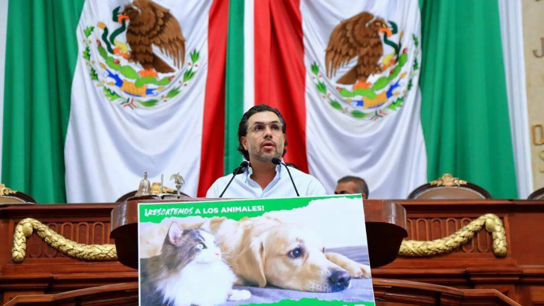 Plantean desde el Congreso de la CDMX, prohibir cualquier espectáculo con animales-int2