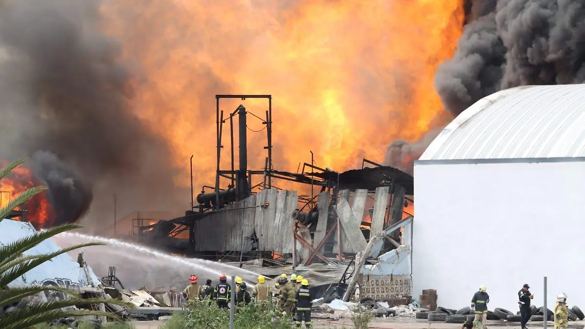 WhatsApp Image 2023-08-06 at 5.13.19 PM