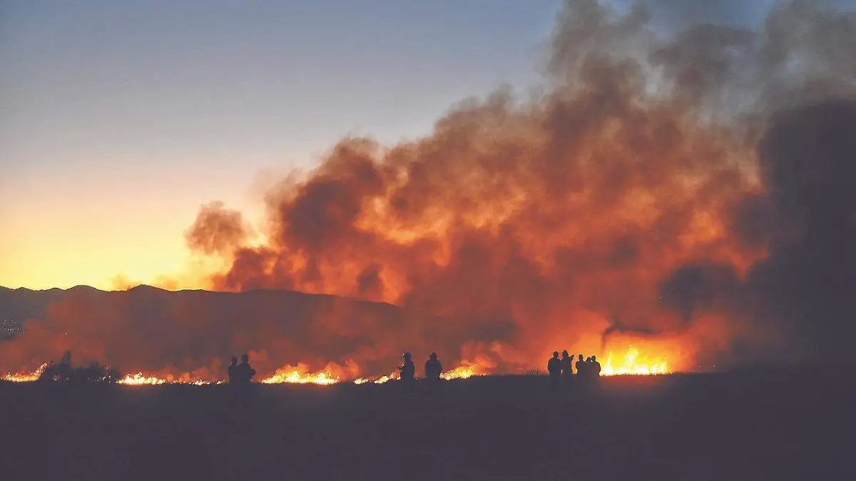 INCENDIOS FORESTALES2