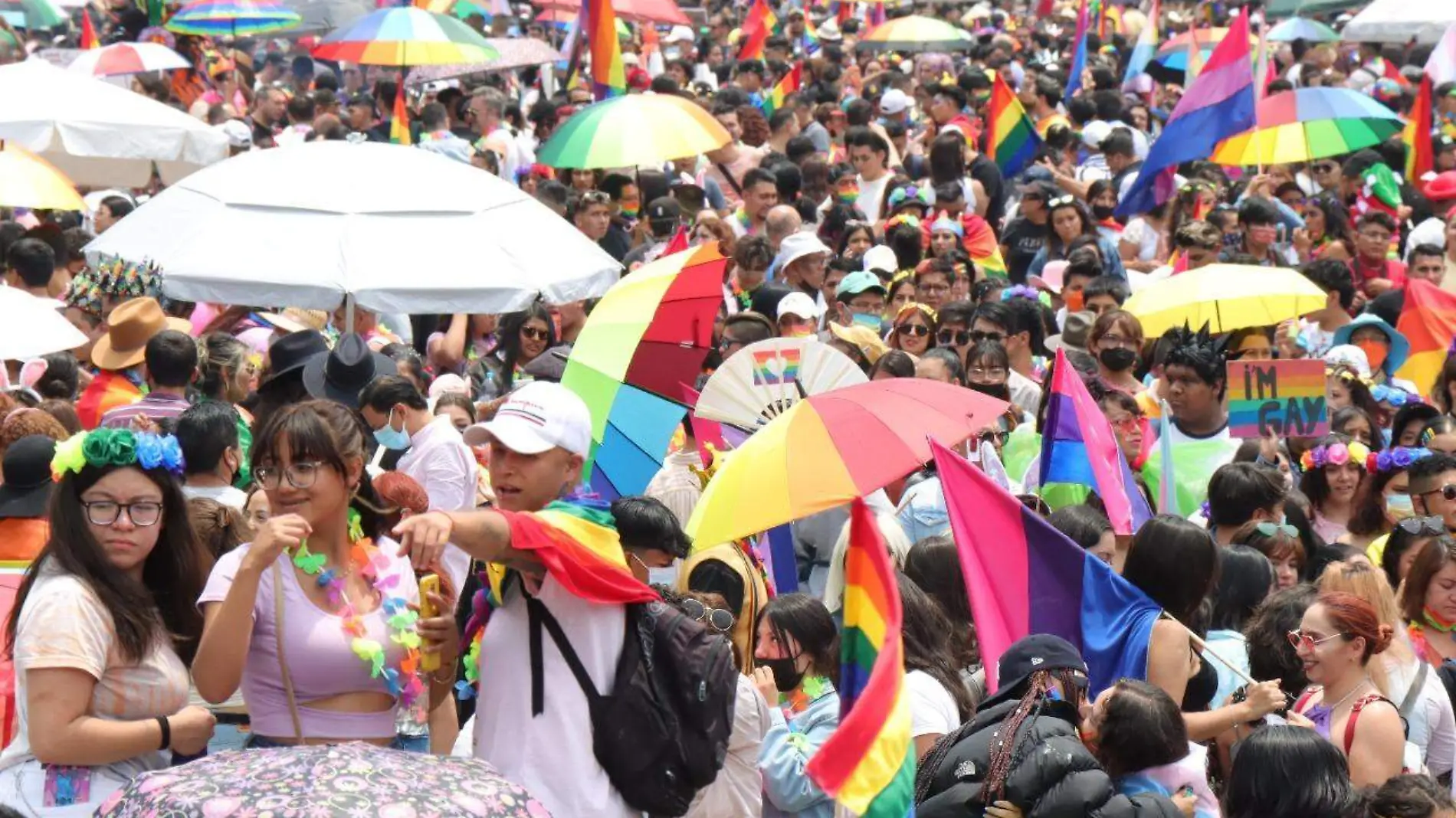 Entrega comunidad LGBTI+ pliego petitorio a jefa de gobierno Claudia Sheinbaum-int3