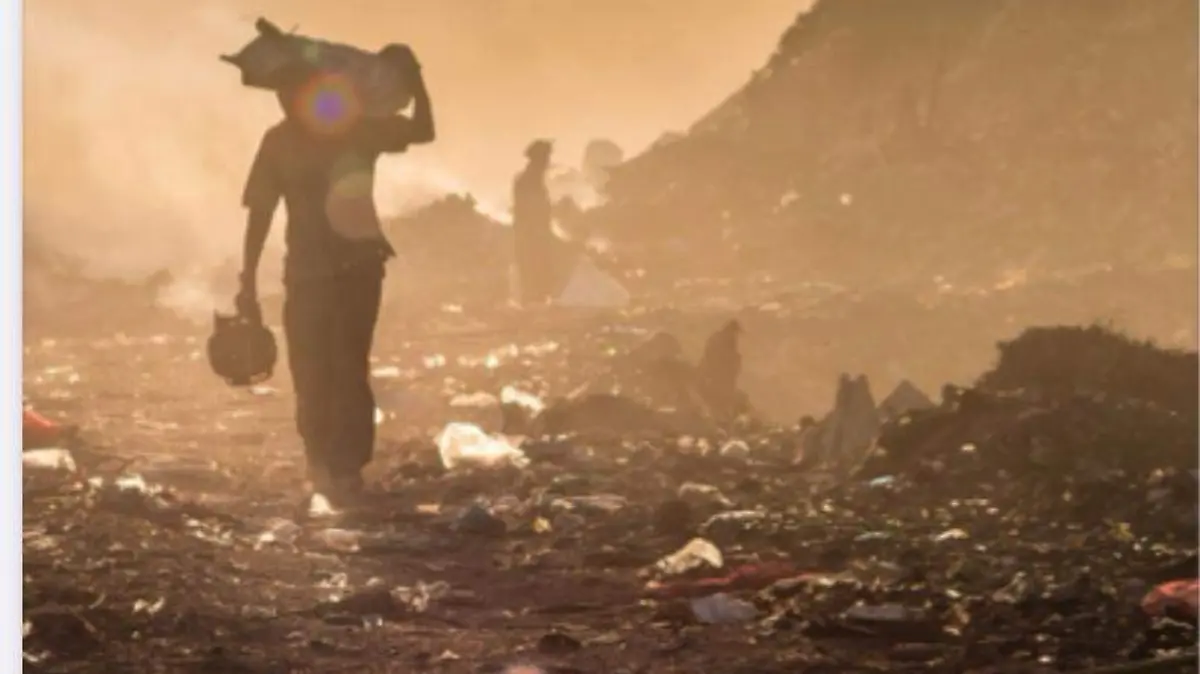 CDMX nada en residuos plásticos del comercio electrónico: Oceana-int3