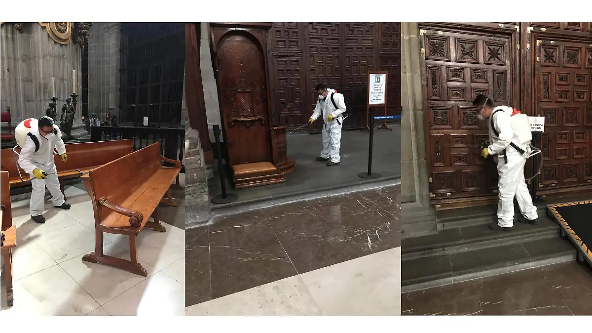 Fumigacion Catedral-ok