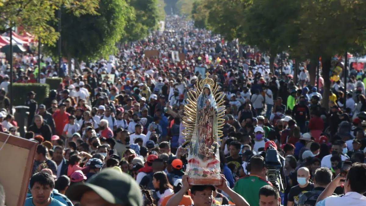 WhatsApp Image 2022-12-11 at 5.02.59 PM