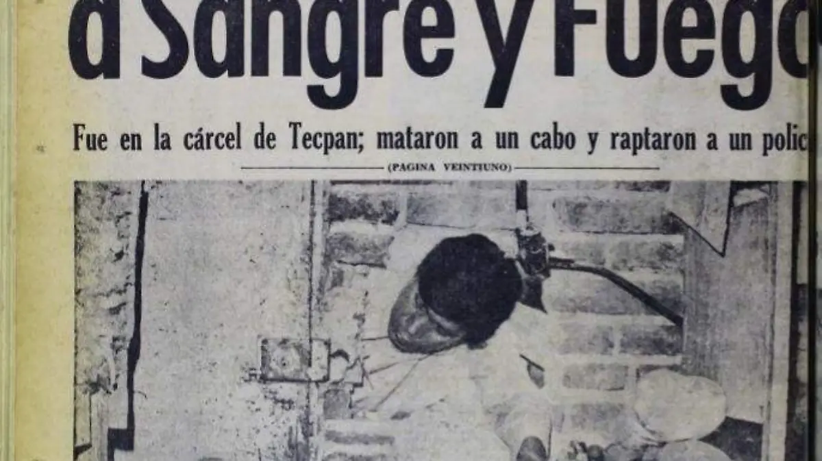 El Estrangulador de Coyoacán  (7)