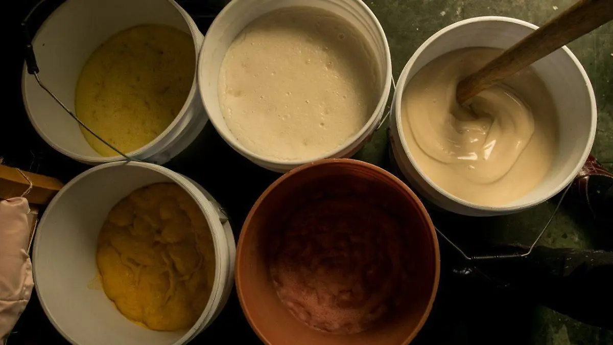 Pulque; una bebida ancestral elabora a partir del maguey